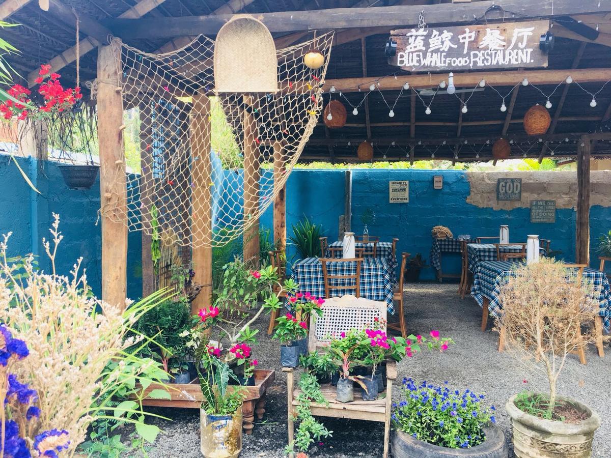 Blue Whale Holiday Hotel 米瑞莎 外观 照片