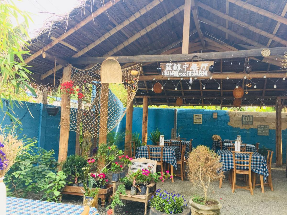 Blue Whale Holiday Hotel 米瑞莎 外观 照片
