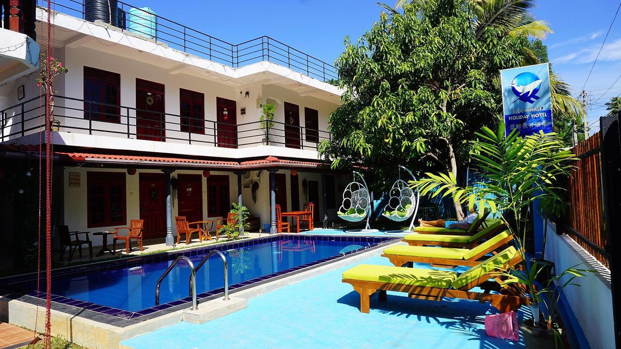 Blue Whale Holiday Hotel 米瑞莎 外观 照片