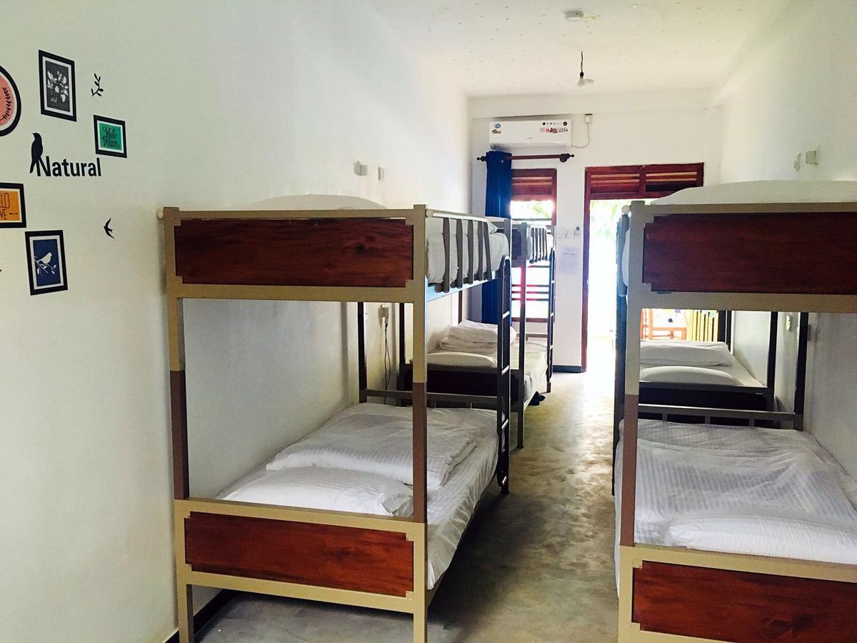 Blue Whale Holiday Hotel 米瑞莎 外观 照片
