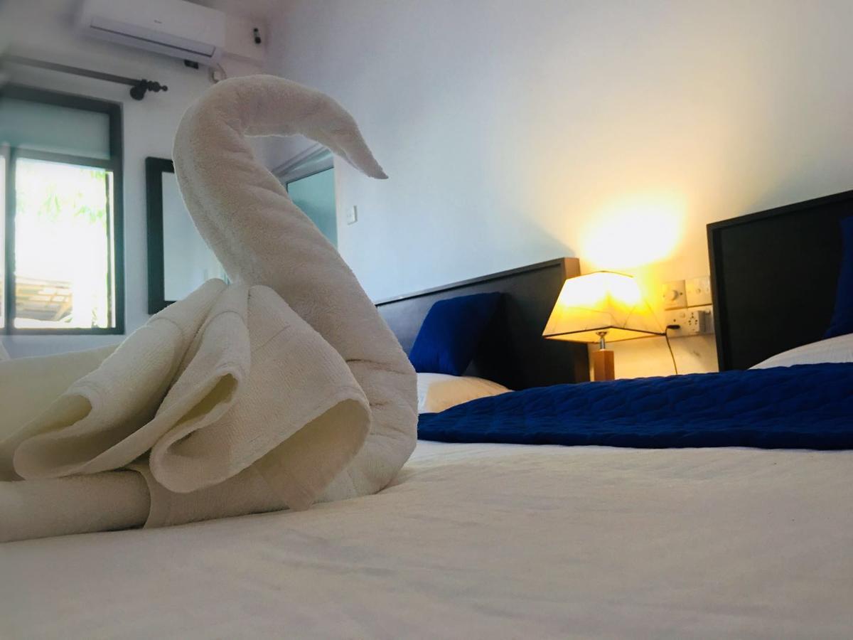 Blue Whale Holiday Hotel 米瑞莎 客房 照片