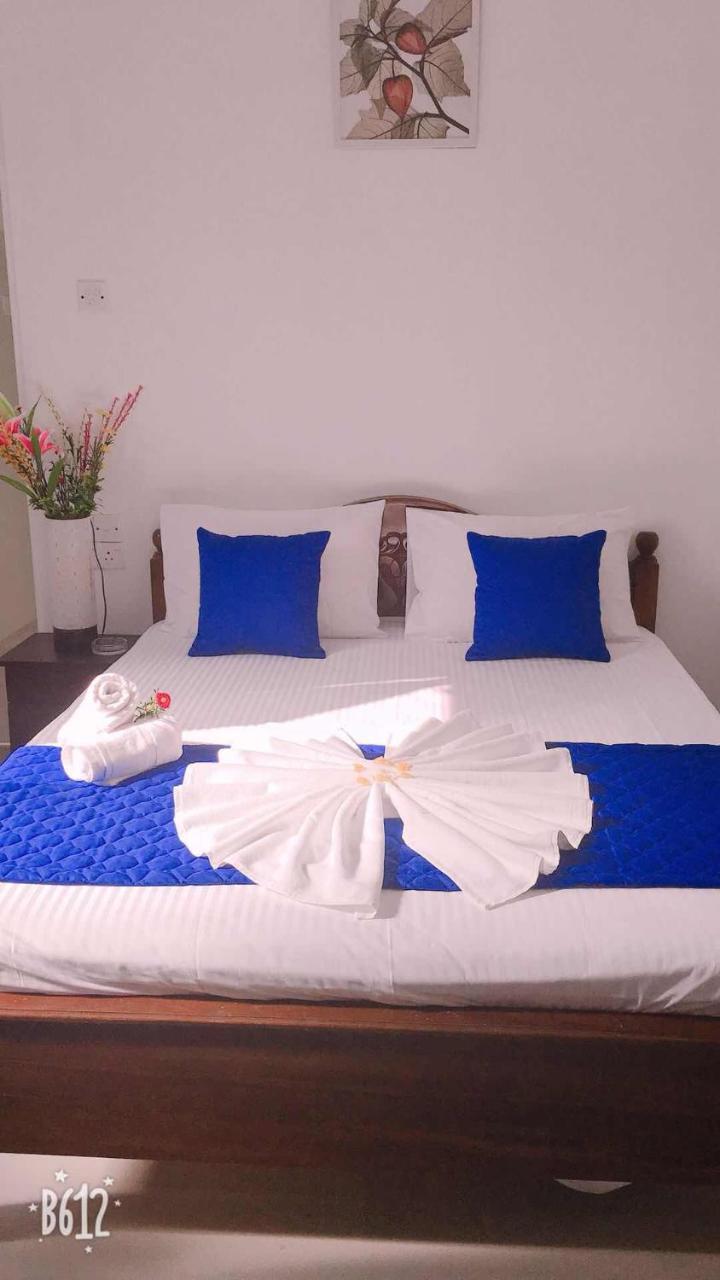 Blue Whale Holiday Hotel 米瑞莎 外观 照片